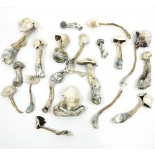 Купить Albino Amazonian Strain 3.5 грамм